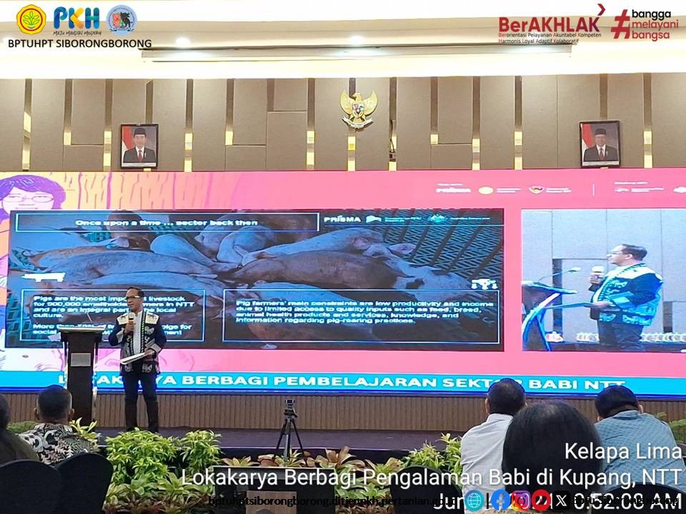 Lokakarya Berbagi Pembelajaran Sektor Babi NTT di Kupang, NTT