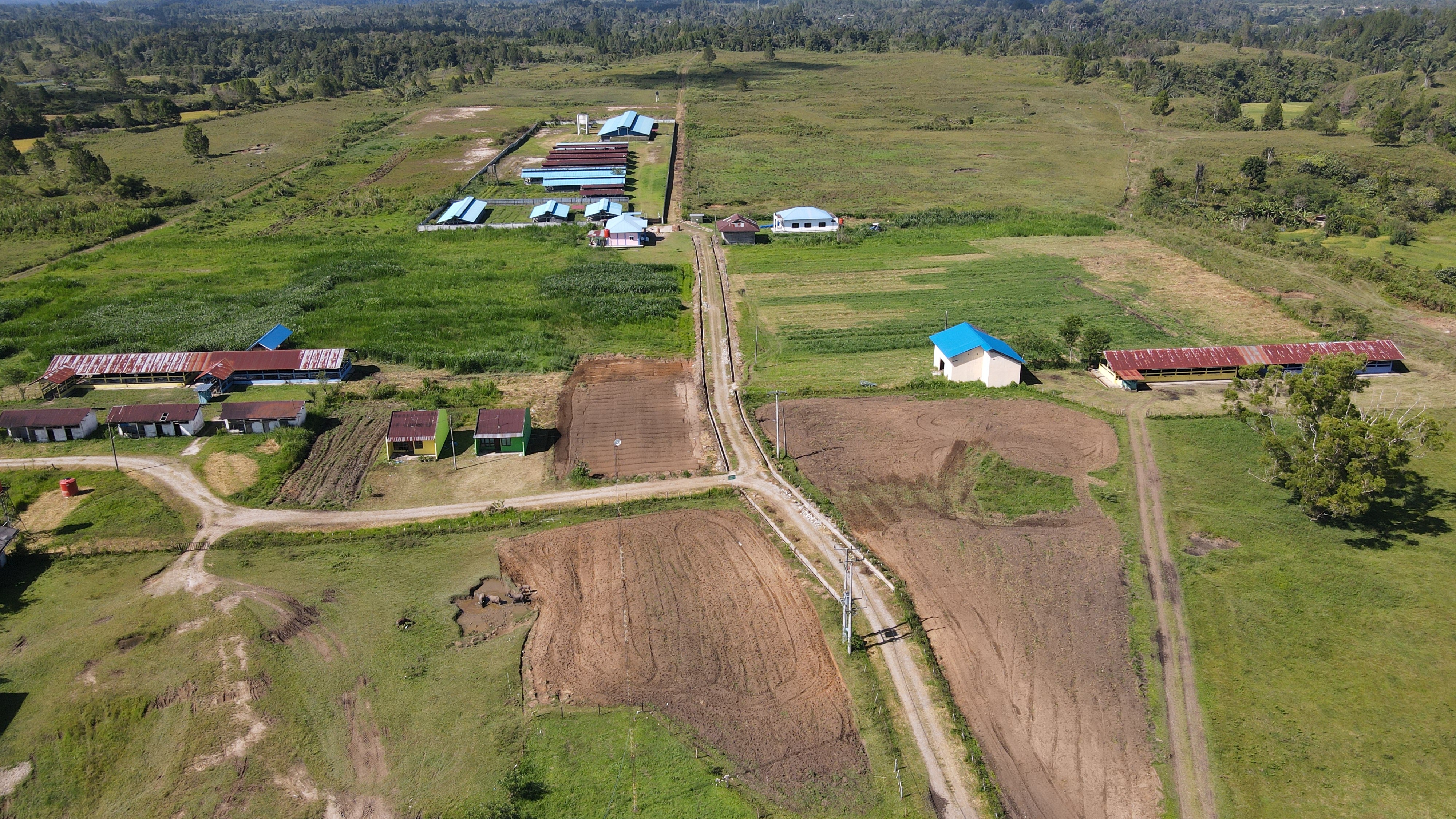 Bahal Batu 1